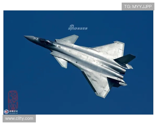 战斗机先进机身涂层的维护性