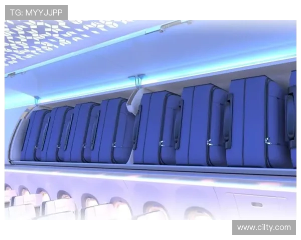飞机客舱内部装修的轻质蜂窝板材
